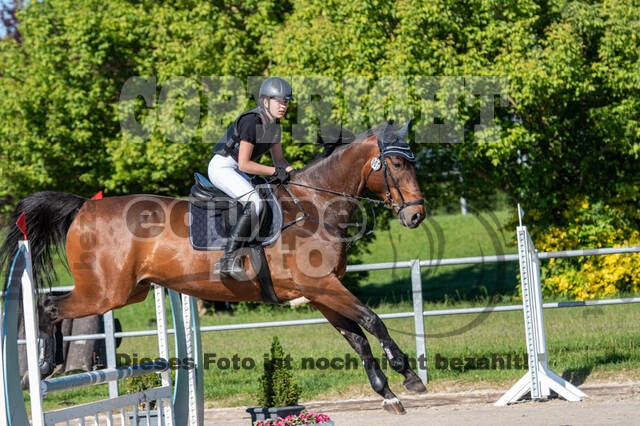 Test of Choise Langenfeld (29.+30.05.2021)
