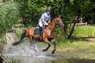 Late-Entry Vielseitigkeit Hamminkeln/Wesel (01.+02.08.2020)