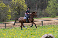 Geländetraining ZRFV Hamminkeln (24+25.04.2021)