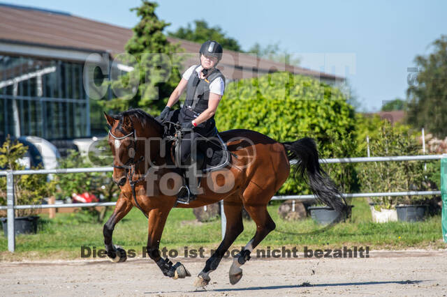 Test of Choise Langenfeld (29.+30.05.2021)
