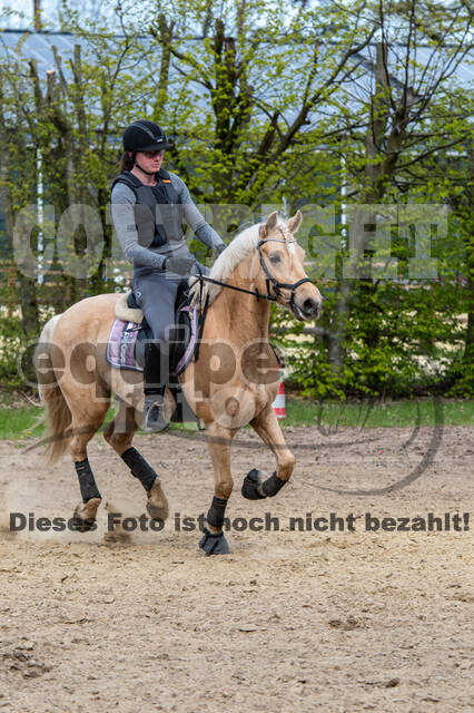 Geländetraining ZRFV Hamminkeln (24+25.04.2021)