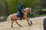 Geländetraining ZRFV Hamminkeln (24+25.04.2021)