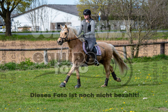 Geländetraining ZRFV Hamminkeln (24+25.04.2021)