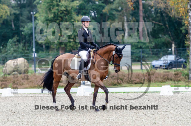 Deutsche Meisterschaft Vielseitigkeit (Luhmühlen)