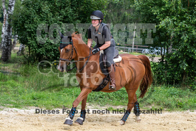 Hunter Geländetraining 10.07.2021 (Sonsbeck)