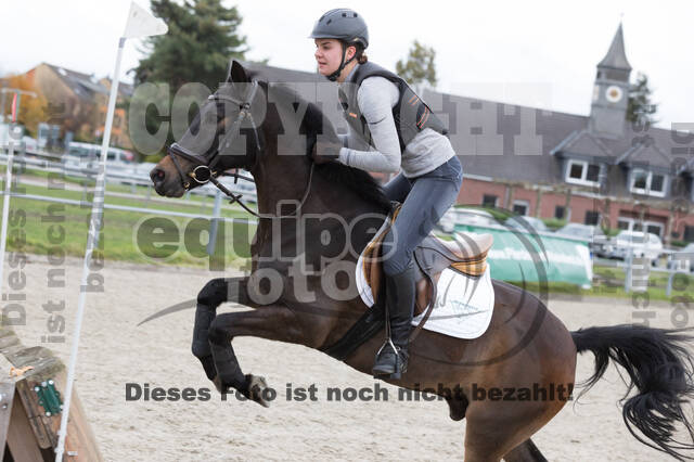 IGV Lehrgang der Sieger der Cups mit Frank Ostholt