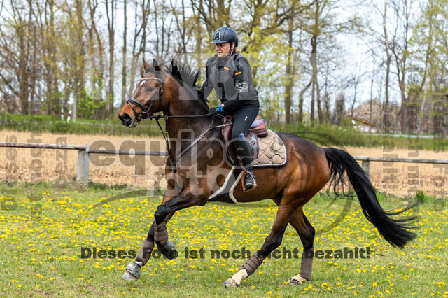 Geländetraining ZRFV Hamminkeln (24+25.04.2021)