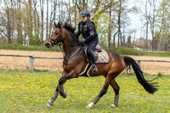 Geländetraining ZRFV Hamminkeln (24+25.04.2021)