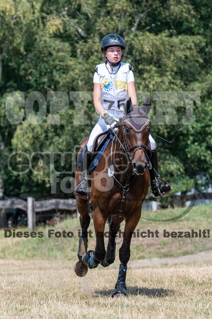 Late-Entry Vielseitigkeit Hamminkeln/Wesel (01.+02.08.2020)