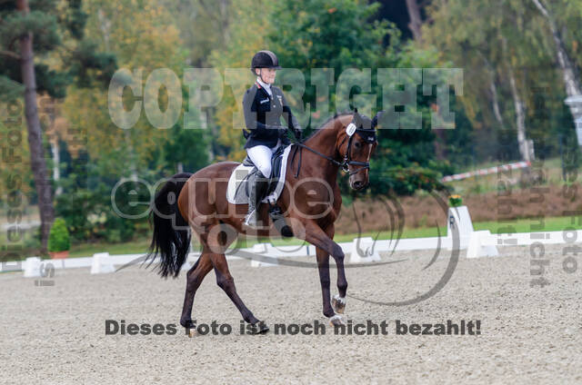 Deutsche Meisterschaft Vielseitigkeit (Luhmühlen)