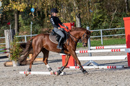IGV Lehrgang der Sieger der Cups mit Frank Ostholt