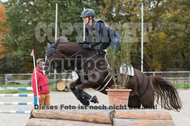 IGV Lehrgang der Sieger der Cups mit Frank Ostholt