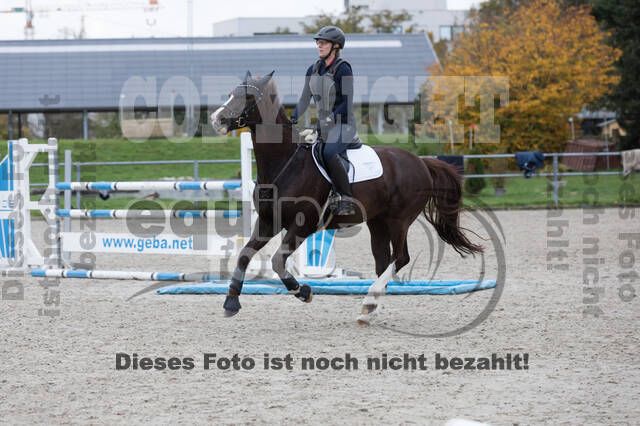 IGV Lehrgang der Sieger der Cups mit Frank Ostholt