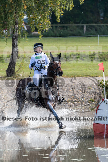 Deutsche Meisterschaft Vielseitigkeit (Luhmühlen)