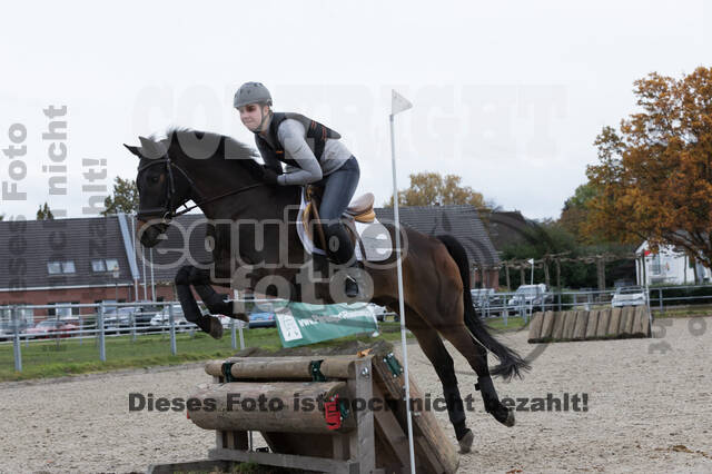 IGV Lehrgang der Sieger der Cups mit Frank Ostholt