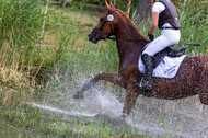 Late-Entry Vielseitigkeit Hamminkeln/Wesel (01.+02.08.2020)