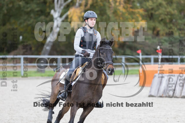 IGV Lehrgang der Sieger der Cups mit Frank Ostholt