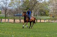 Geländetraining ZRFV Hamminkeln (24+25.04.2021)