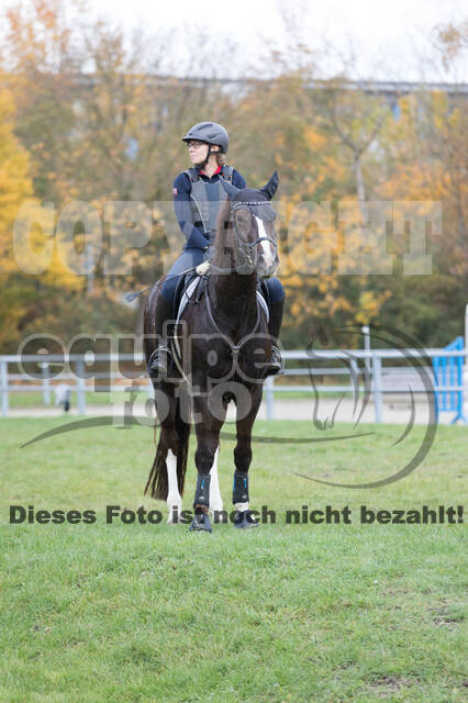 IGV Lehrgang der Sieger der Cups mit Frank Ostholt