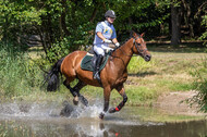 Late-Entry Vielseitigkeit Hamminkeln/Wesel (01.+02.08.2020)