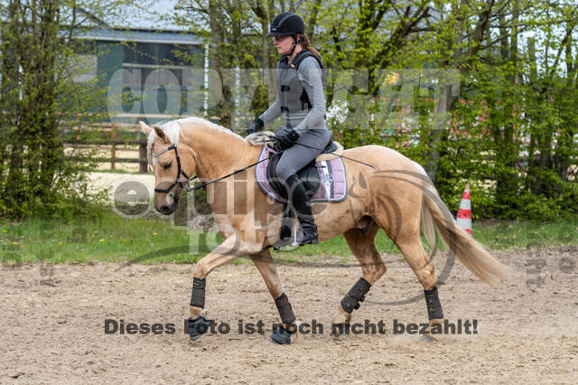 Geländetraining ZRFV Hamminkeln (24+25.04.2021)