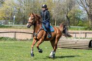 Geländetraining ZRFV Hamminkeln (24+25.04.2021)