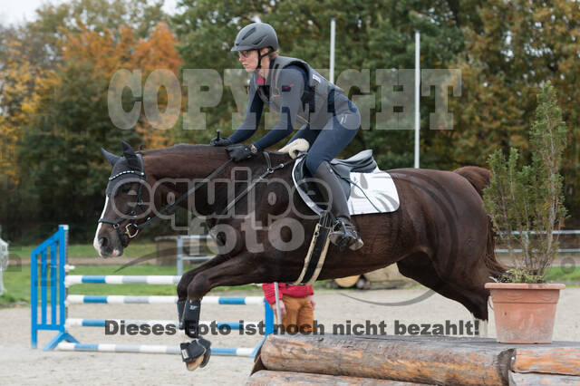 IGV Lehrgang der Sieger der Cups mit Frank Ostholt