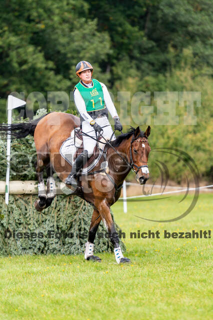 Deutsche Meisterschaft Vielseitigkeit (Luhmühlen)