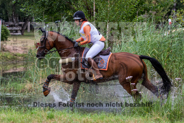 Late-Entry Vielseitigkeit Hamminkeln/Wesel (01.+02.08.2020)