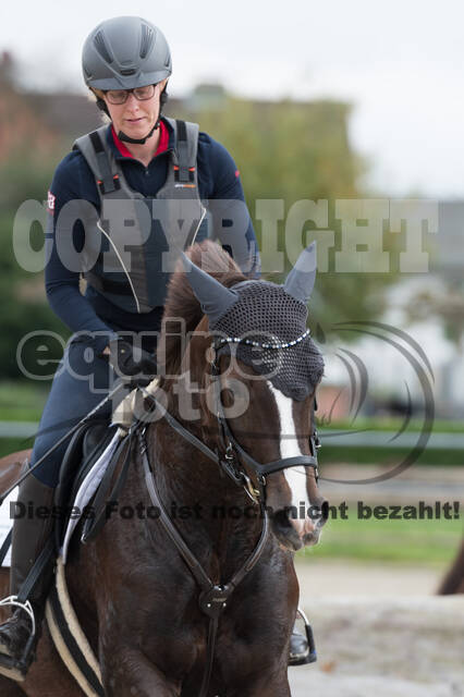 IGV Lehrgang der Sieger der Cups mit Frank Ostholt