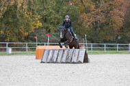 IGV Lehrgang der Sieger der Cups mit Frank Ostholt