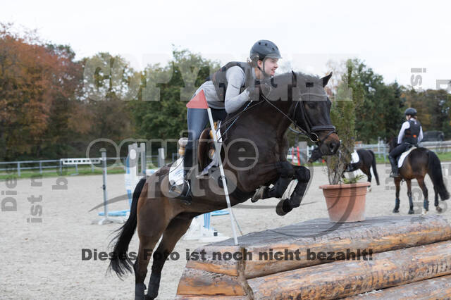 IGV Lehrgang der Sieger der Cups mit Frank Ostholt