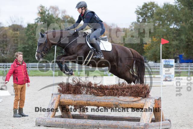 IGV Lehrgang der Sieger der Cups mit Frank Ostholt