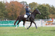 IGV Lehrgang der Sieger der Cups mit Frank Ostholt