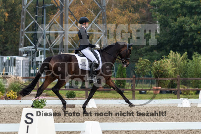 Deutsche Meisterschaft Vielseitigkeit (Luhmühlen)