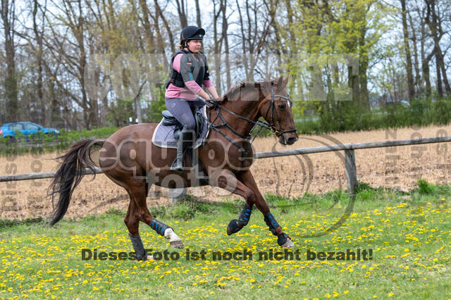 Geländetraining ZRFV Hamminkeln (24+25.04.2021)