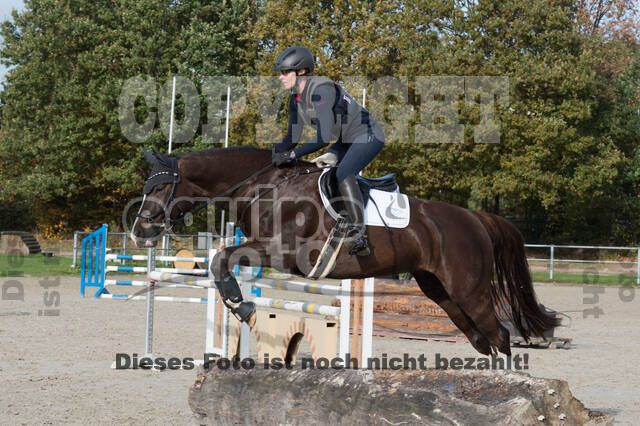 IGV Lehrgang der Sieger der Cups mit Frank Ostholt