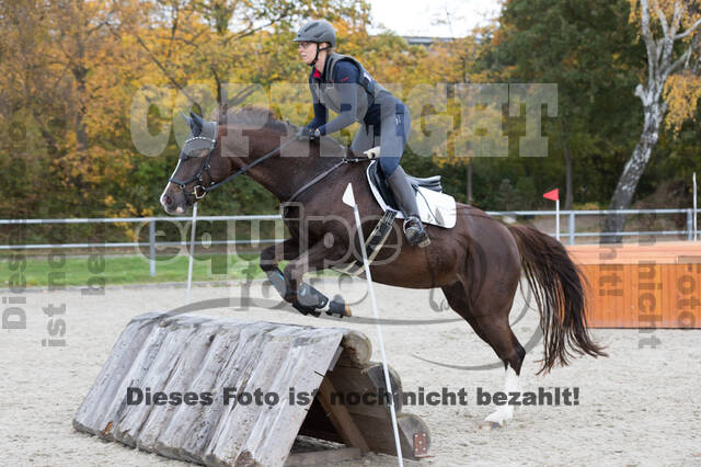 IGV Lehrgang der Sieger der Cups mit Frank Ostholt