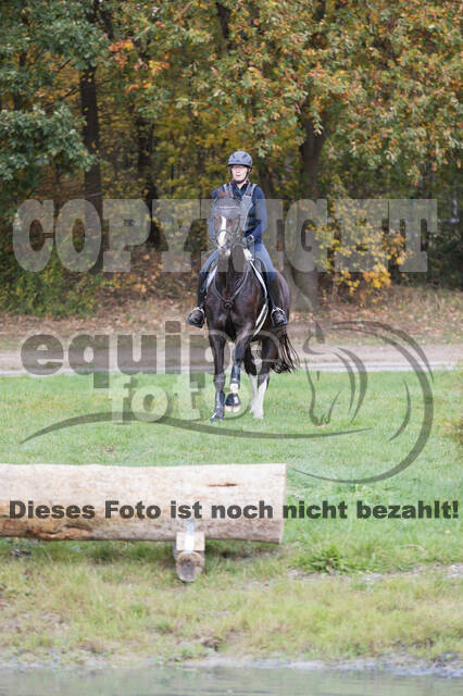 IGV Lehrgang der Sieger der Cups mit Frank Ostholt