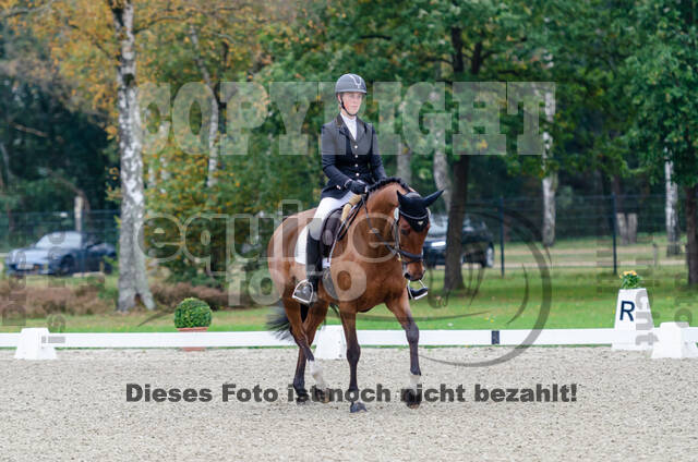 Deutsche Meisterschaft Vielseitigkeit (Luhmühlen)