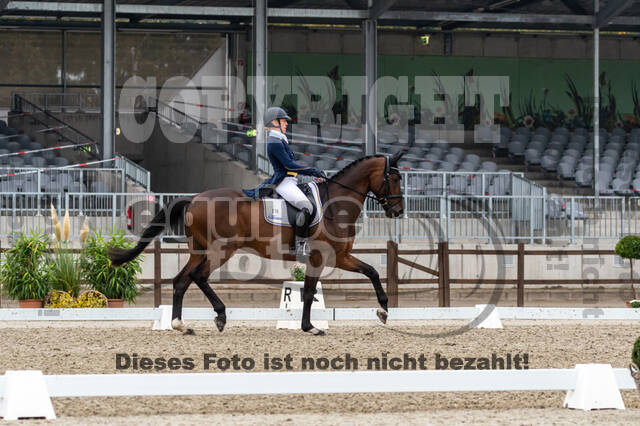 Deutsche Meisterschaft Vielseitigkeit (Luhmühlen)