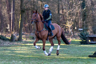 Geländetraining Wesel Obrighoven (19.+20.03.2022)