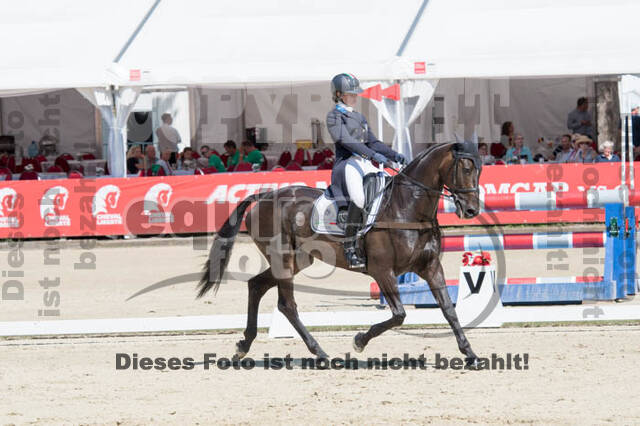 FEI European Championship