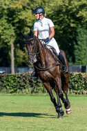 Kronenberg - De Peelbergen (August 2020)