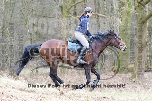 Geländetrainings RSV St. Hubertus Wesel Obrighoven
