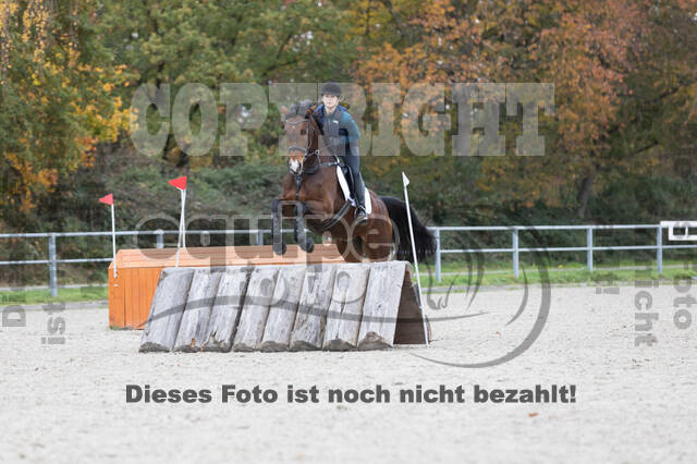 IGV Lehrgang der Sieger der Cups mit Frank Ostholt