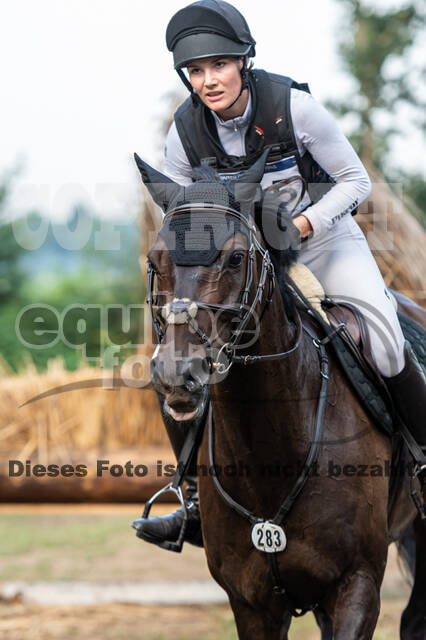 De Peelbergen (August 2020)