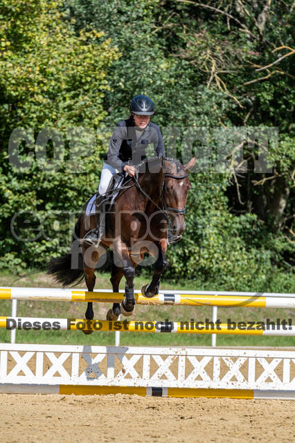 RFV Dinslaken-Hiesfeld (Herbstturnier)