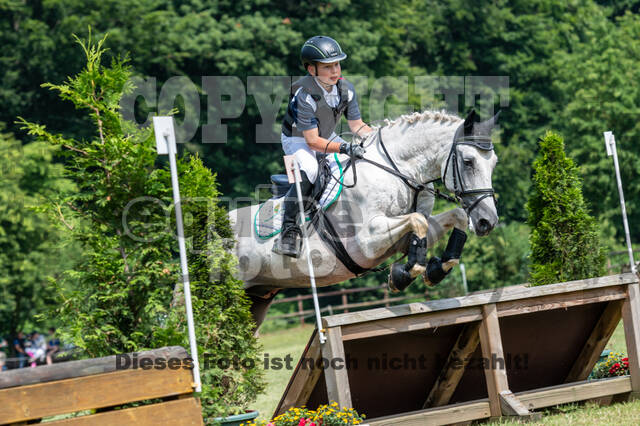 Goldene Schärpe 2021 - Ponys