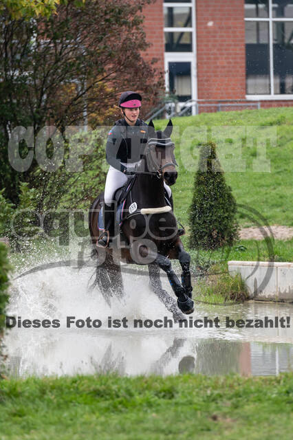 Goldene Schärpe 2020 - Pferde